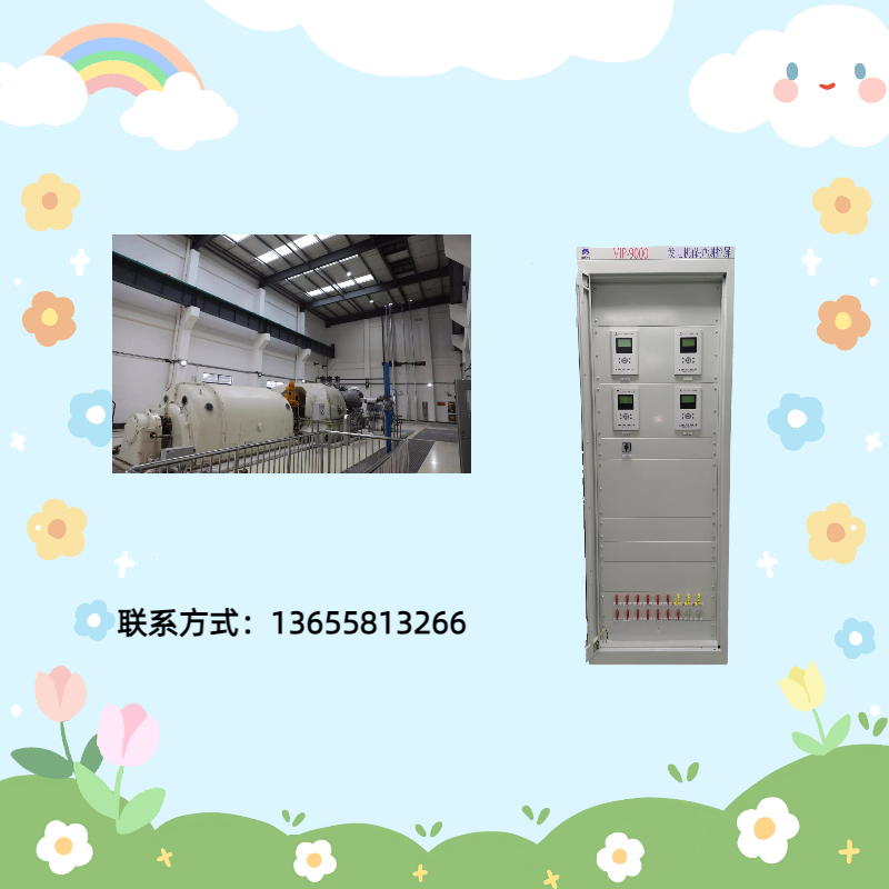 常見的發(fā)電機(jī)保護(hù)功能都有哪些，需要投入哪些功能